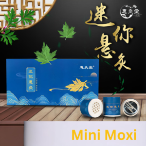Mini Moxi